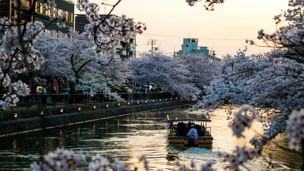 Kyoto in full bloom Kyoto Japan