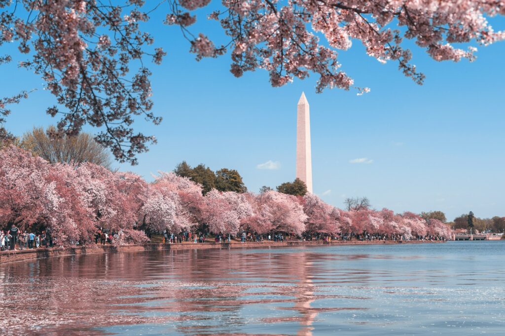 The Washington Monument and Tidal Basin Washington DC United States of America